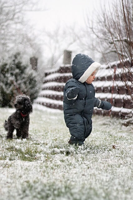赤ちゃんと犬の画像