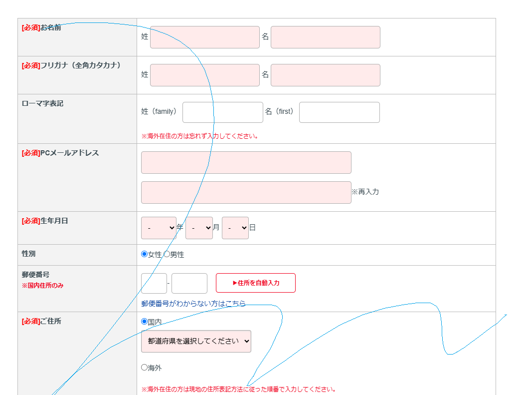 アメリアの公式サイトのスクリーンショット