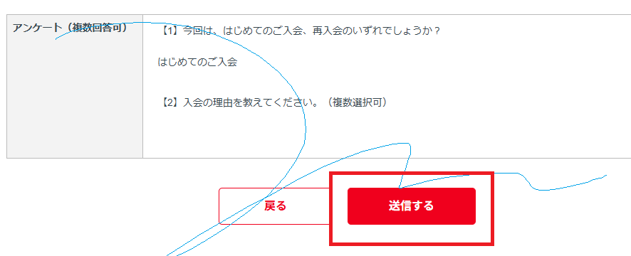 アメリアの公式サイトのスクリーンショット